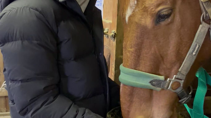 Cece feeding Rudy alfalfa